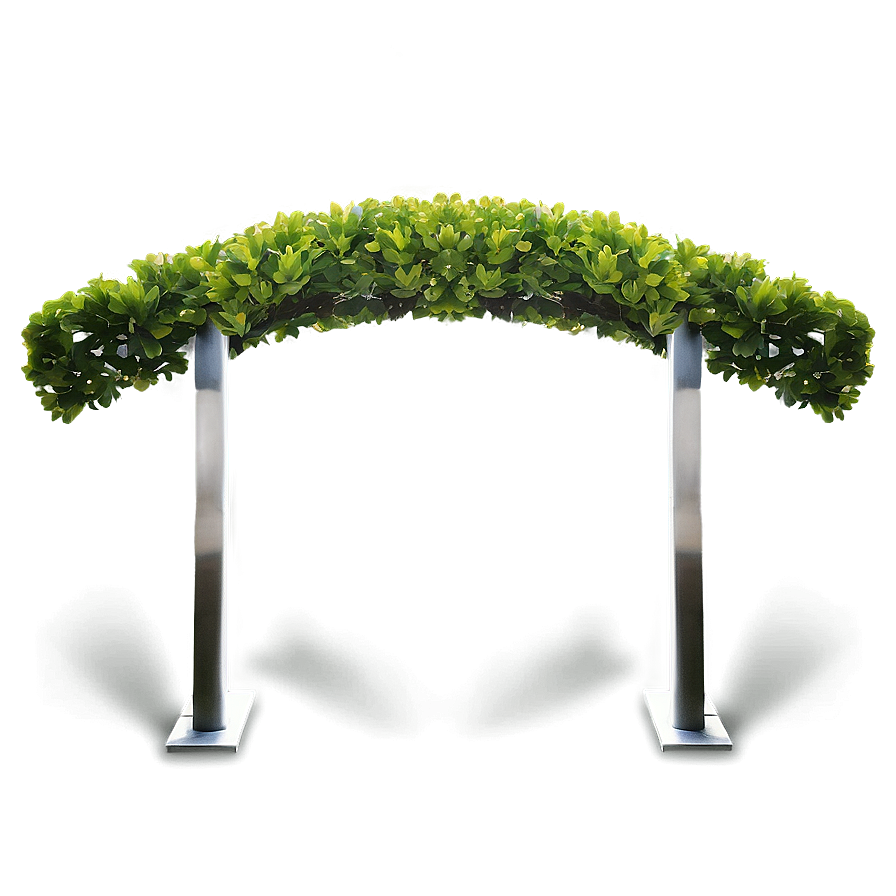 Boxwood Arch Png 06212024 PNG Image