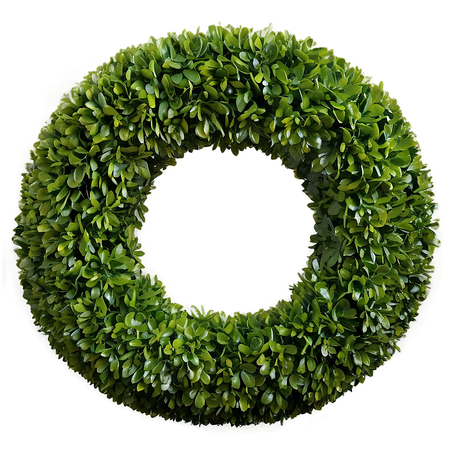 Boxwood Ball Png Iyn39 PNG Image