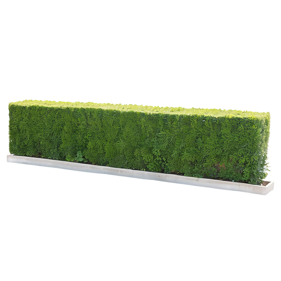 Boxwood Hedge Png Jcg PNG Image