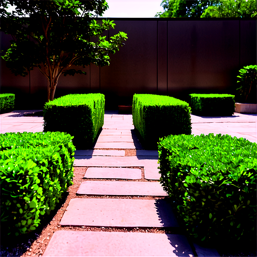 Boxwood In Courtyard Png 06212024 PNG Image