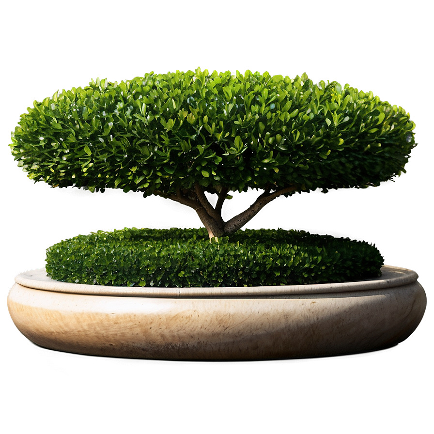 Boxwood Landscape Png Blr PNG Image