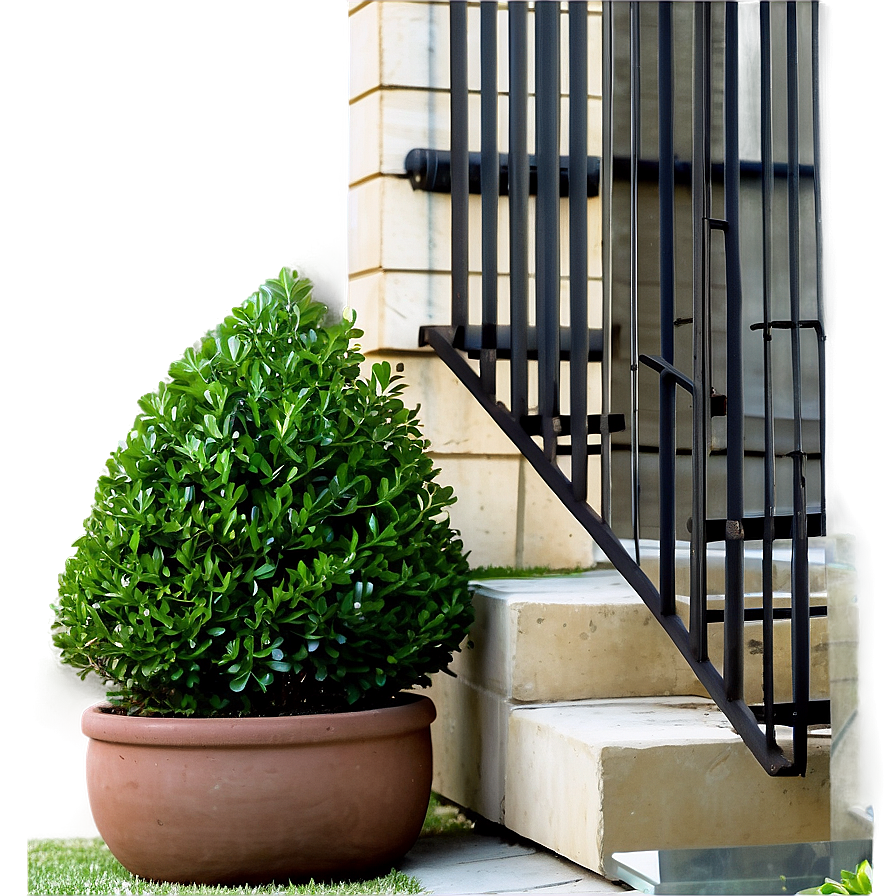 Boxwood Outdoor Png Xxn74 PNG Image