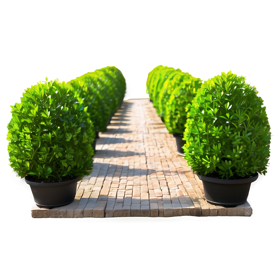 Boxwood Pathway Png Ftu37 PNG Image