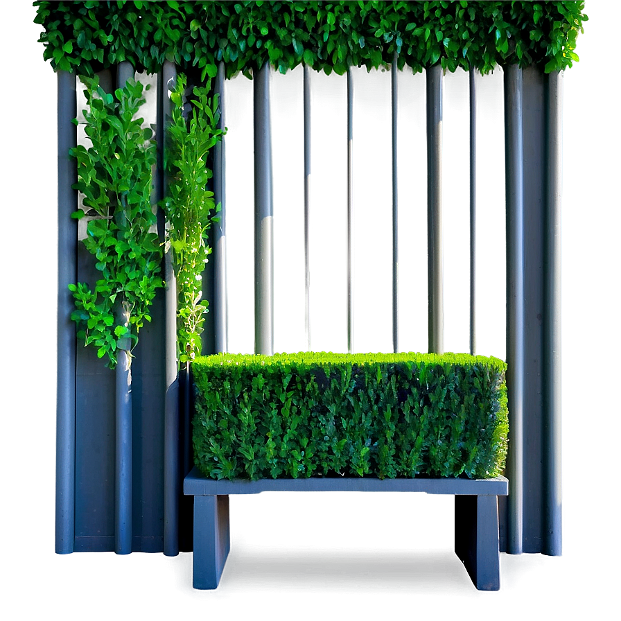 Boxwood Privacy Screen Png 06212024 PNG Image