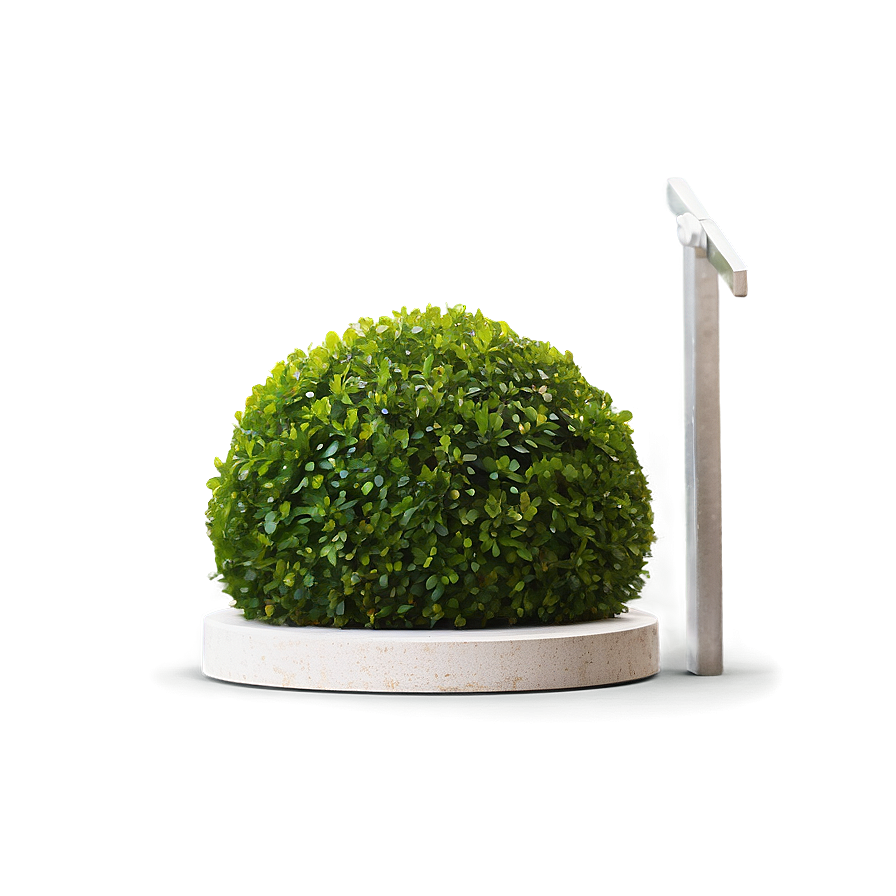 Boxwood Sphere Png 98 PNG Image