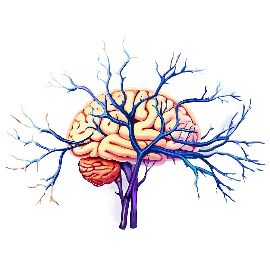 Brain And Neurons Png 71 PNG Image