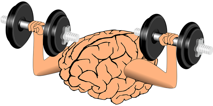 Brain_ Lifting_ Weights_ Concept PNG Image