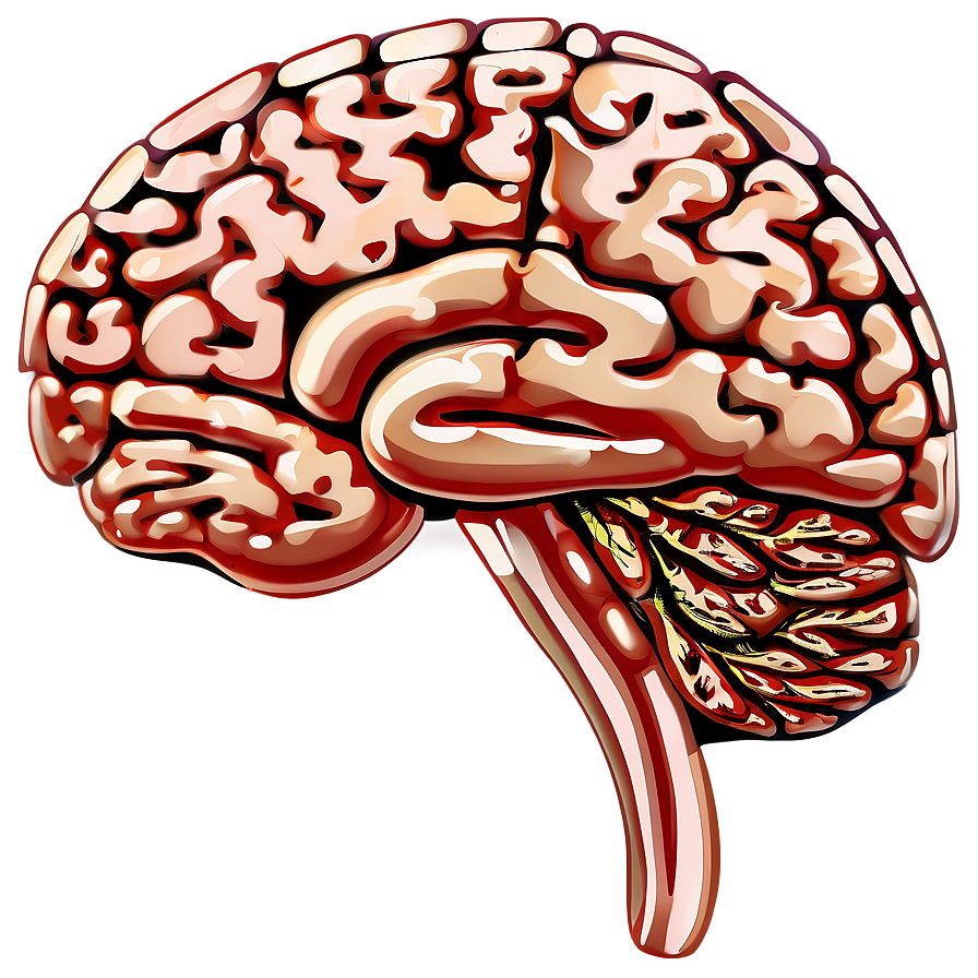 Brain Outline Clipart Png Hvx PNG Image