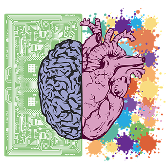 Brainand Heart Artwork PNG Image