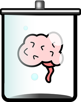 Brainina Jar Cartoon PNG Image