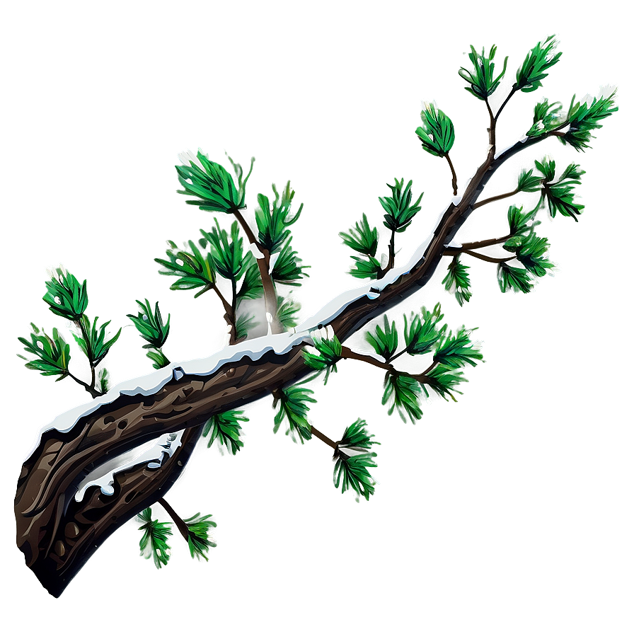 Branch B PNG Image