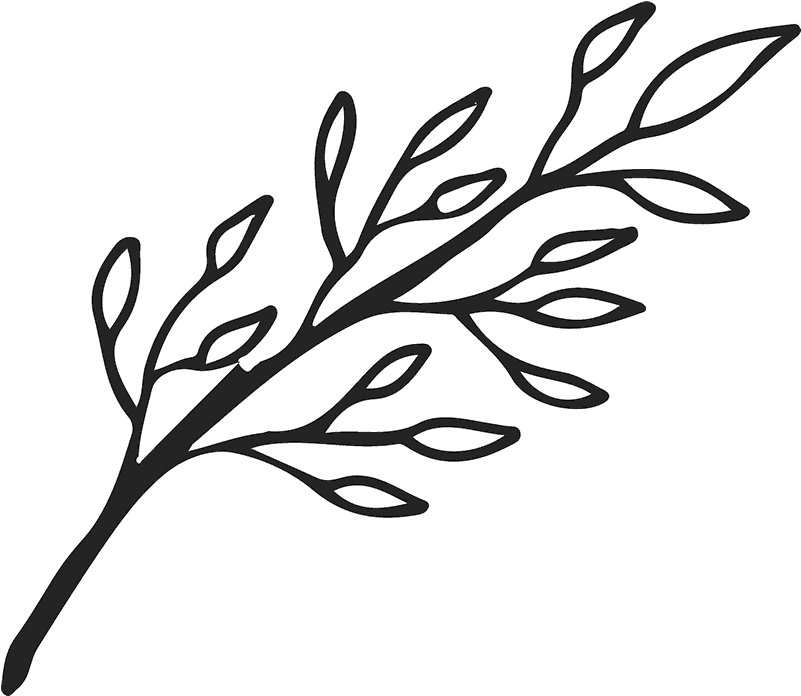 Branch Silhouette Outline.png PNG Image