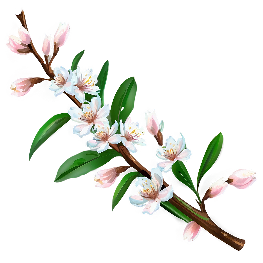 Branch With Almond Blossoms Png 57 PNG Image