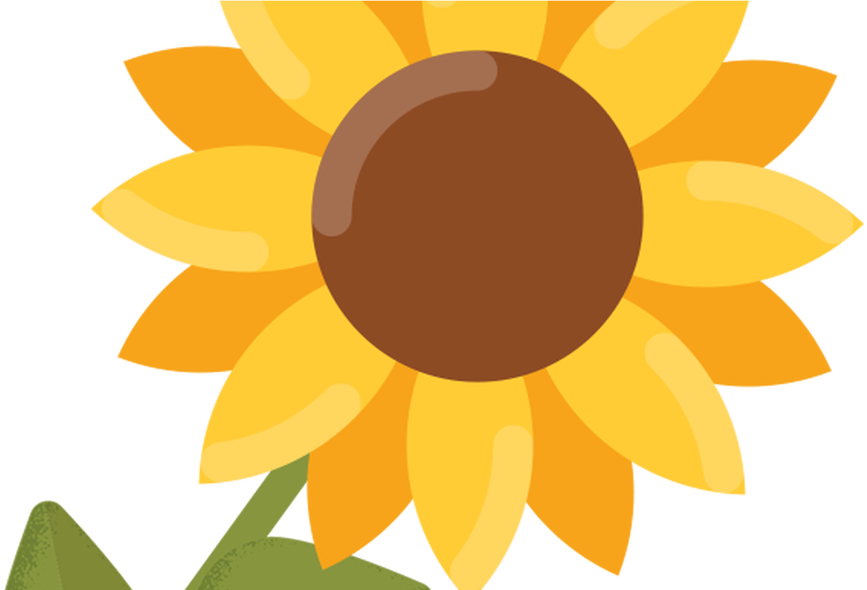 Bright Sunflower Clipart PNG Image