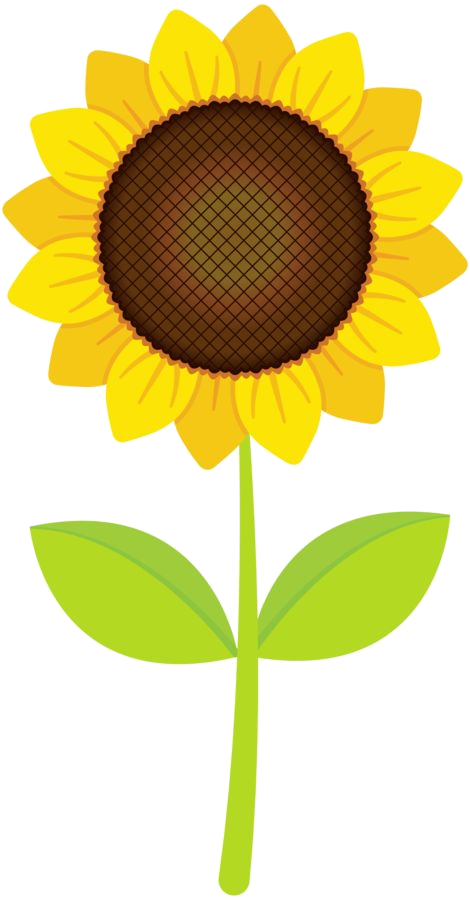 Bright Sunflower Clipart PNG Image