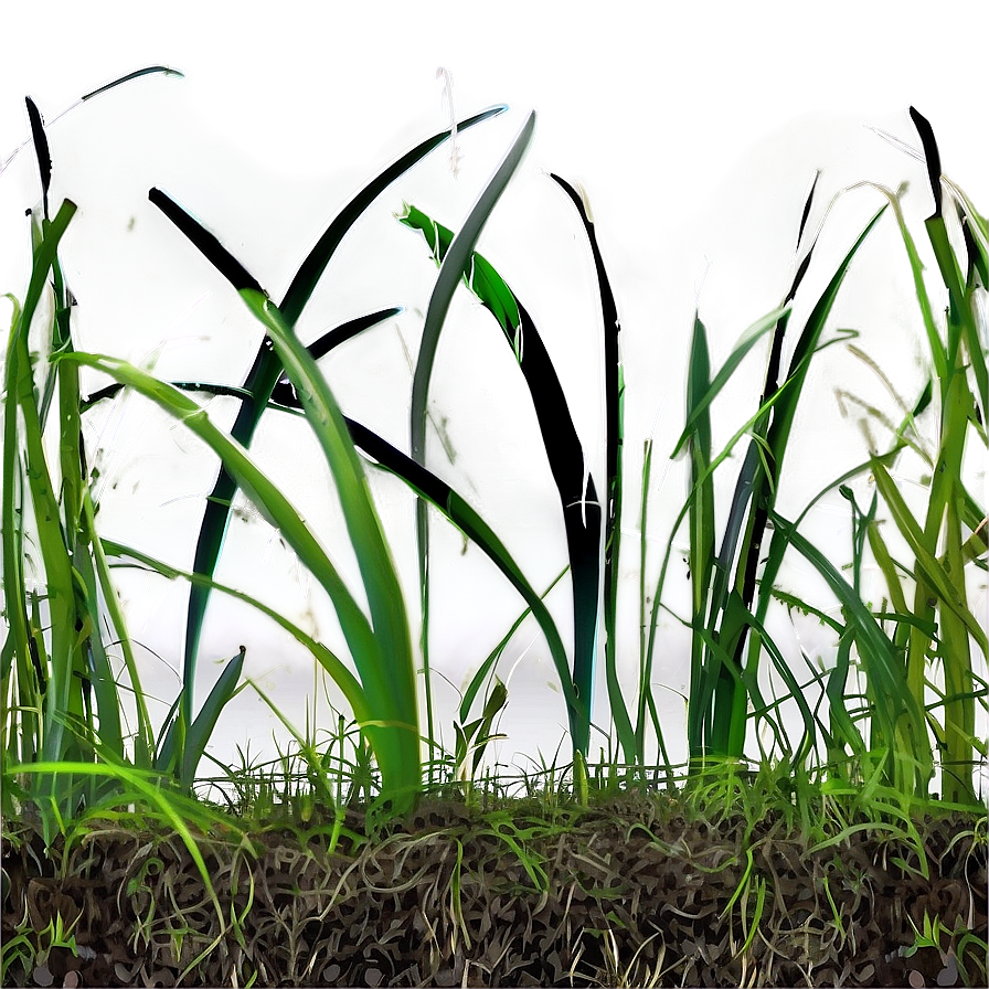 Brittle Dead Grass Png 28 PNG Image