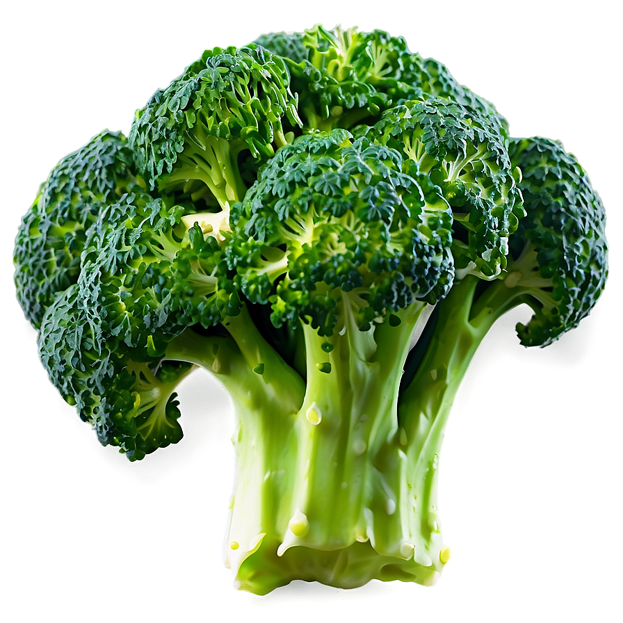 Broccoli Florets Png 05232024 PNG Image