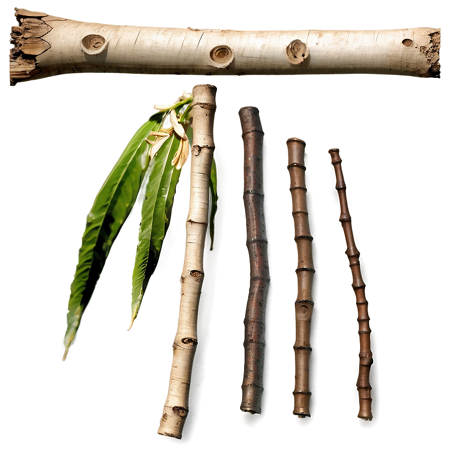 Broken Twig Png Jxo87 PNG Image