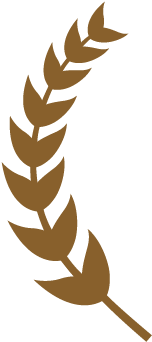 Bronze Laurel Leaf Graphic PNG Image