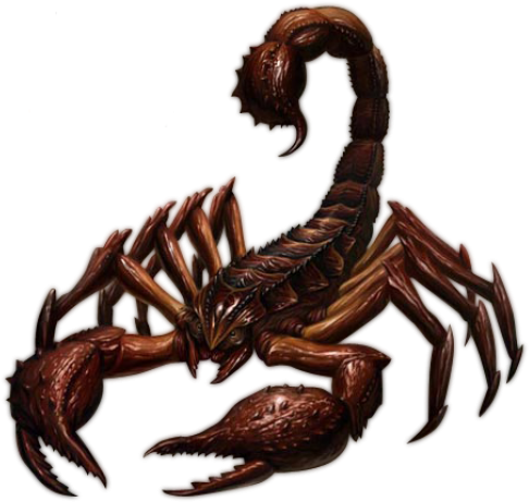 Bronze Scorpion Artwork PNG Image