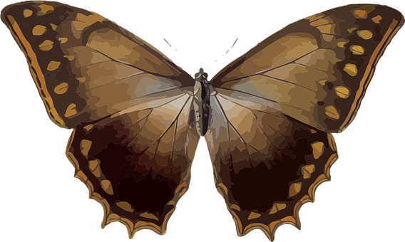 Brown Butterfly Illustration PNG Image