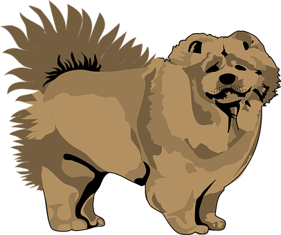 Brown Chow Chow Illustration PNG Image