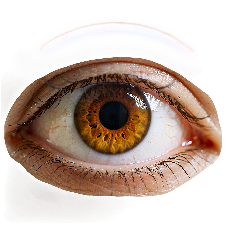 Brown Eye Transparent Png Cku68 PNG Image