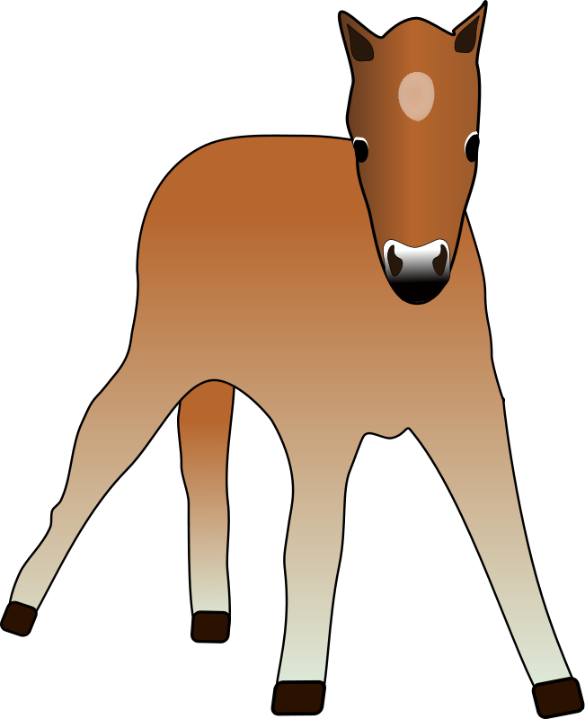 Brown Foal Illustration.png PNG Image