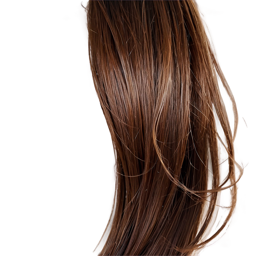 Brown Hair Strand Png Tnp55 PNG Image