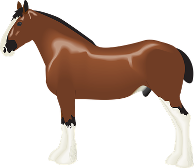 Brown Horse White Markings Vector PNG Image