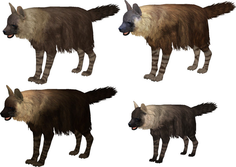 Brown_ Hyenas_ Multiple_ Angles PNG Image