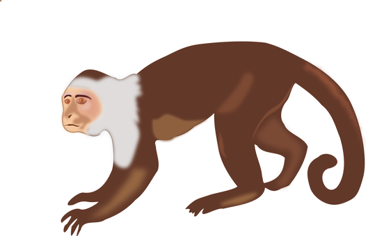 Brown Monkey Illustration PNG Image