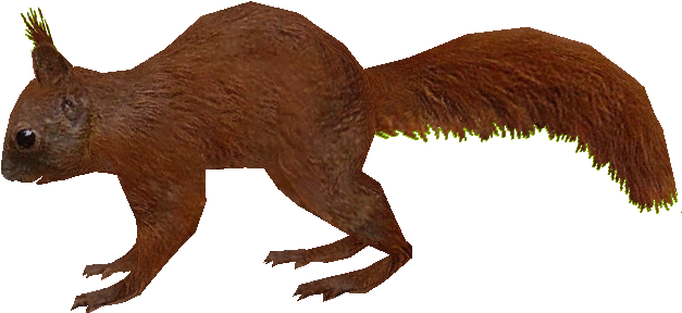 Brown Squirrel Running Profile PNG Image