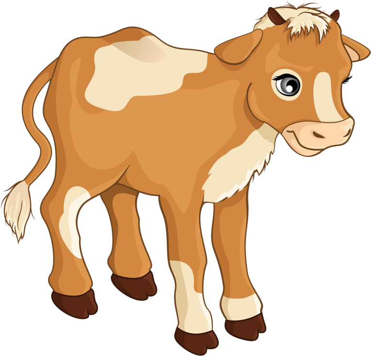 Brownand White Calf Illustration.png PNG Image