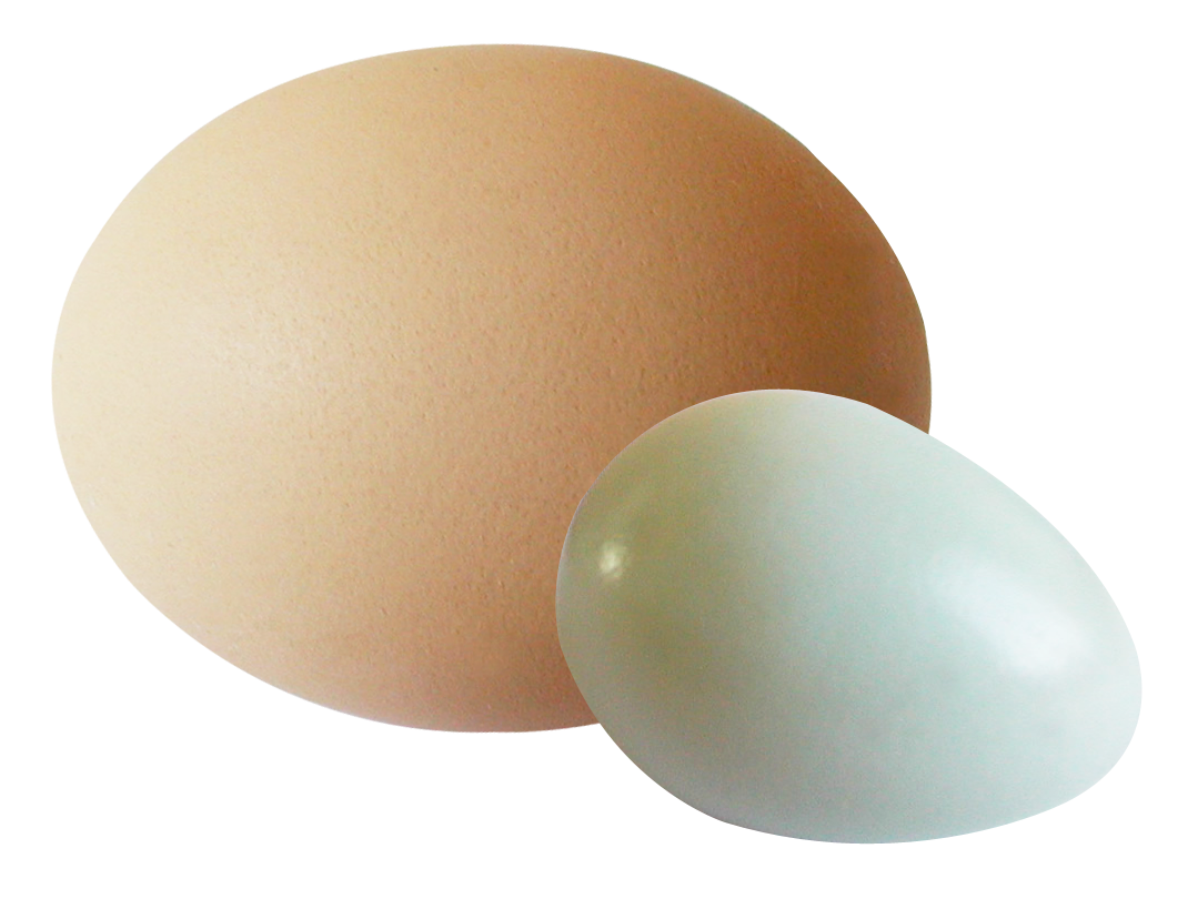 Brownand White Eggs Simple Background PNG Image