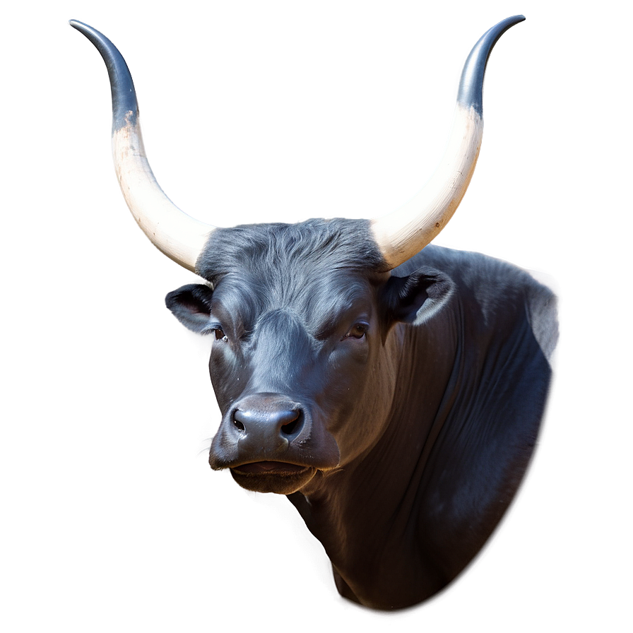 Bull Profile Picture Png Vho55 PNG Image