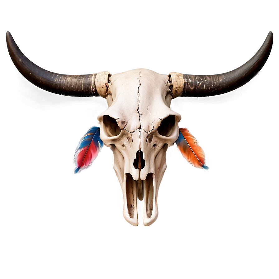 Bull Skull And Feathers Png Rvt PNG Image