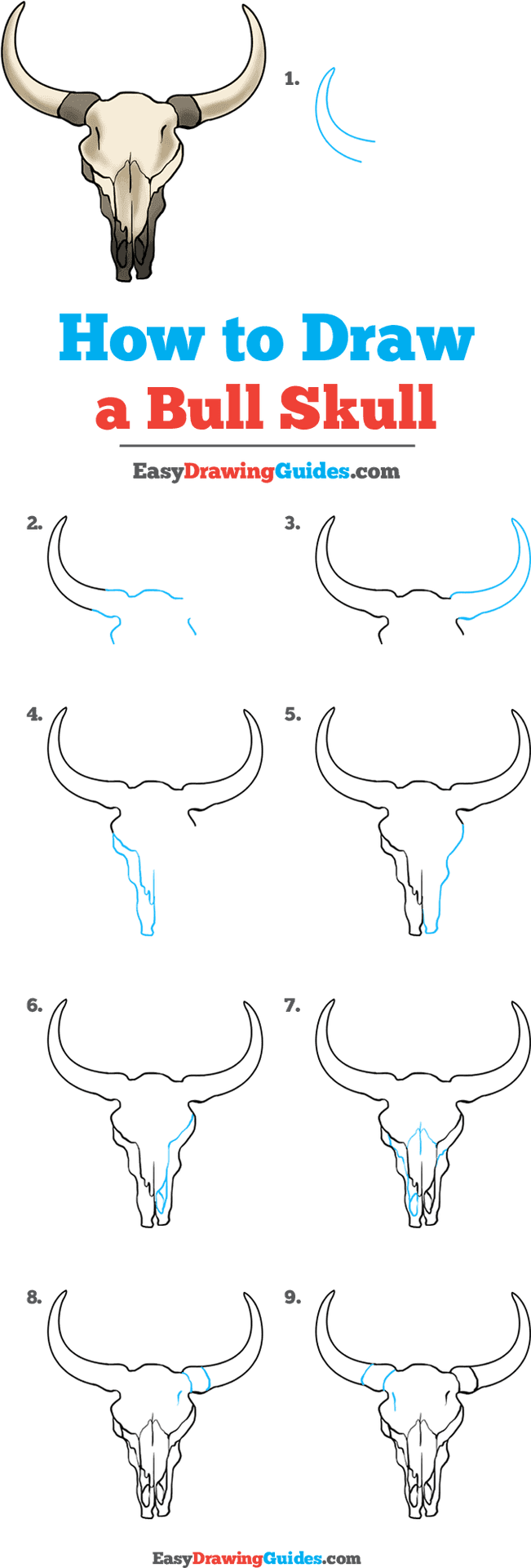 Bull Skull Drawing Tutorial PNG Image