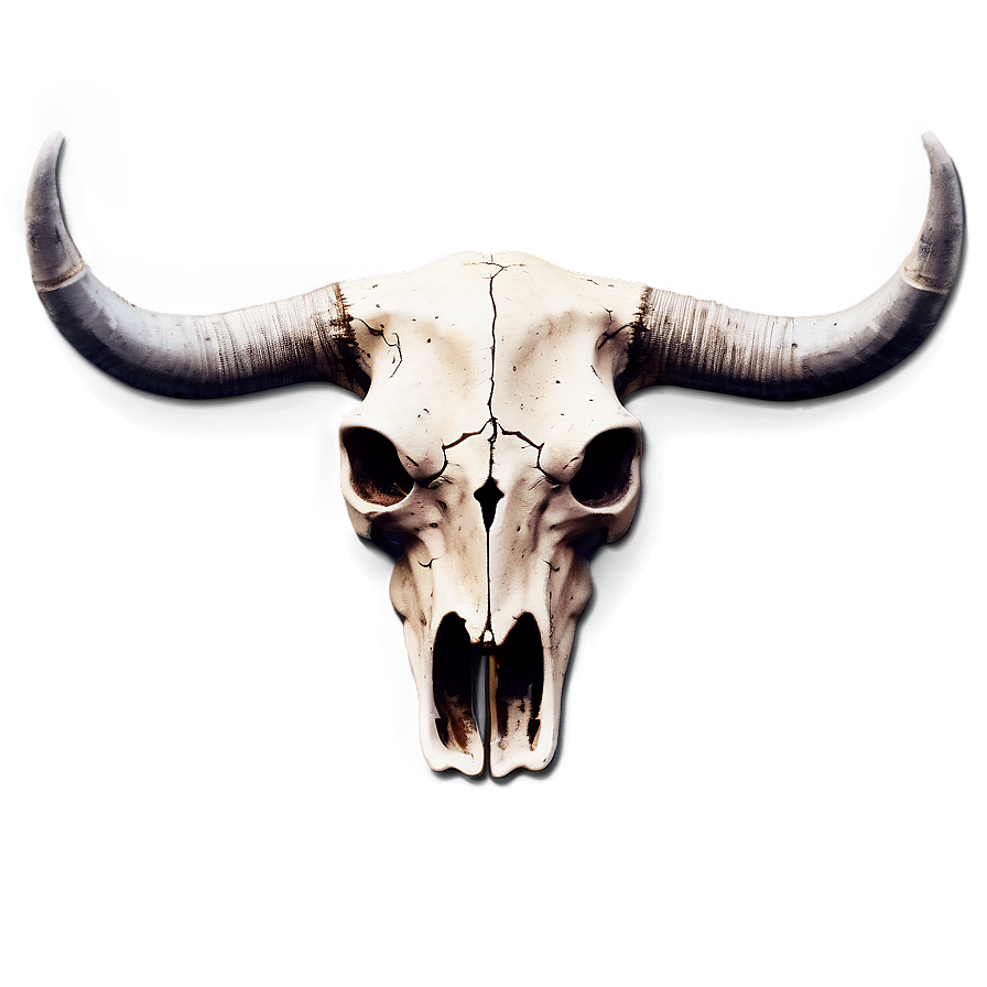 Bull Skull On Vintage Paper Png Ghx PNG Image