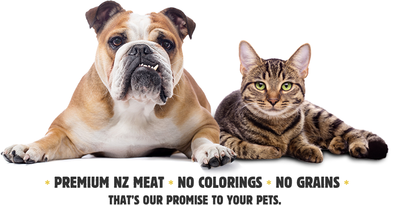 Bulldogand Tabby Cat Premium Pet Food Ad PNG Image