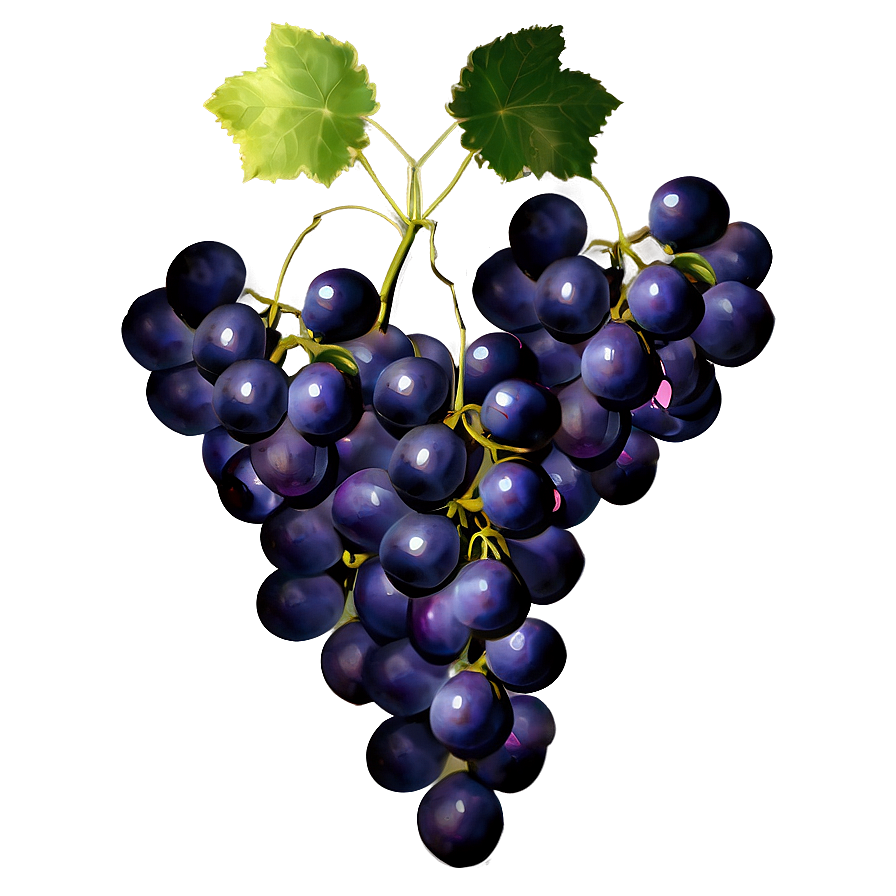 Bunch Of Grapes Png 05212024 PNG Image