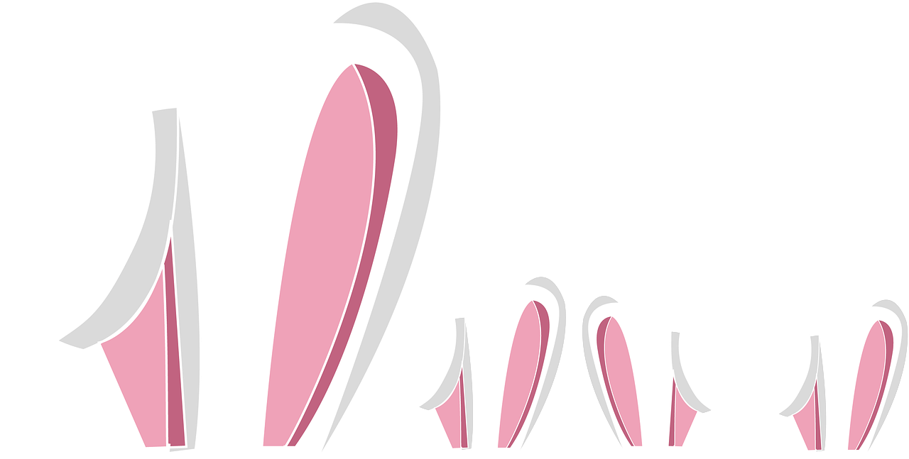 Bunny Ears Variety Set PNG Image