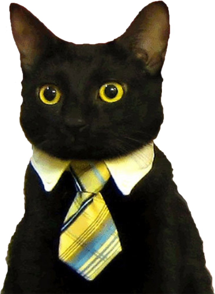 Business Cat In Suit_ Meme.png PNG Image