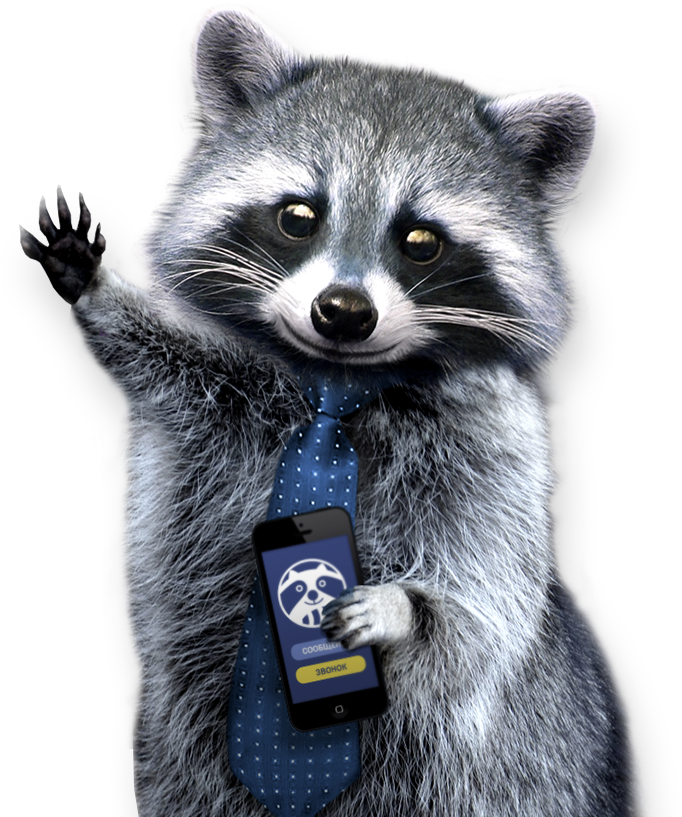 Business Raccoonwith Smartphone PNG Image