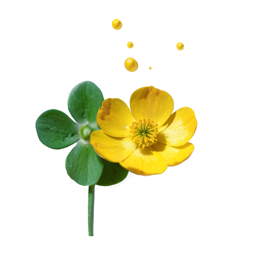 Buttercup Essence Png Yfd24 PNG Image