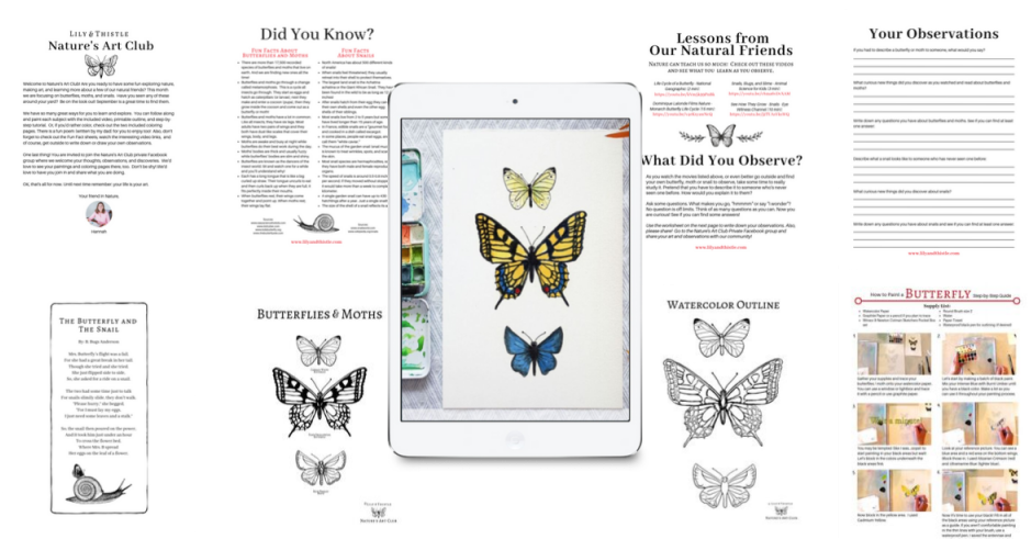 Butterfly Education Material Collage PNG Image