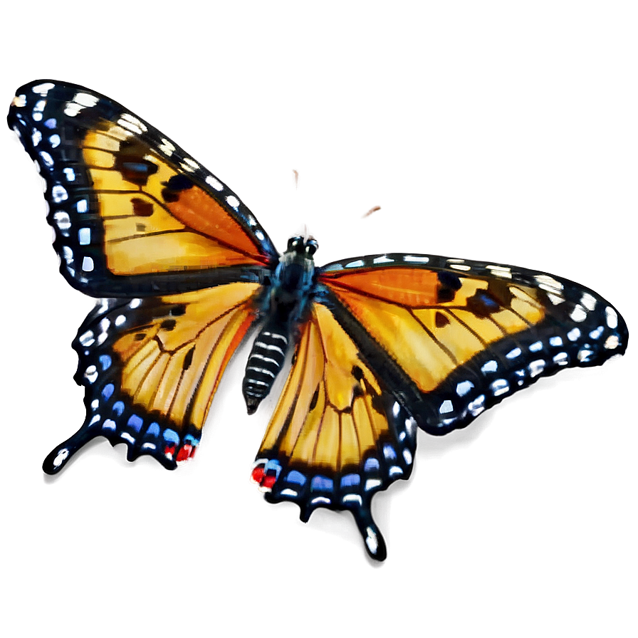 Butterfly In Nature Png 04292024 PNG Image