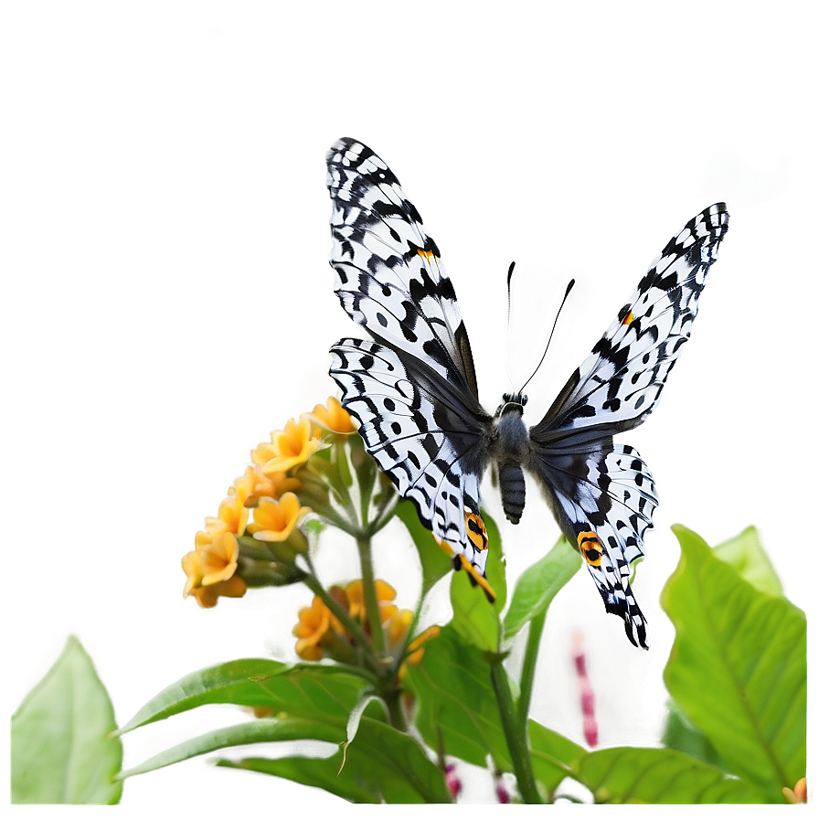 Butterfly In Nature Png Mrd PNG Image