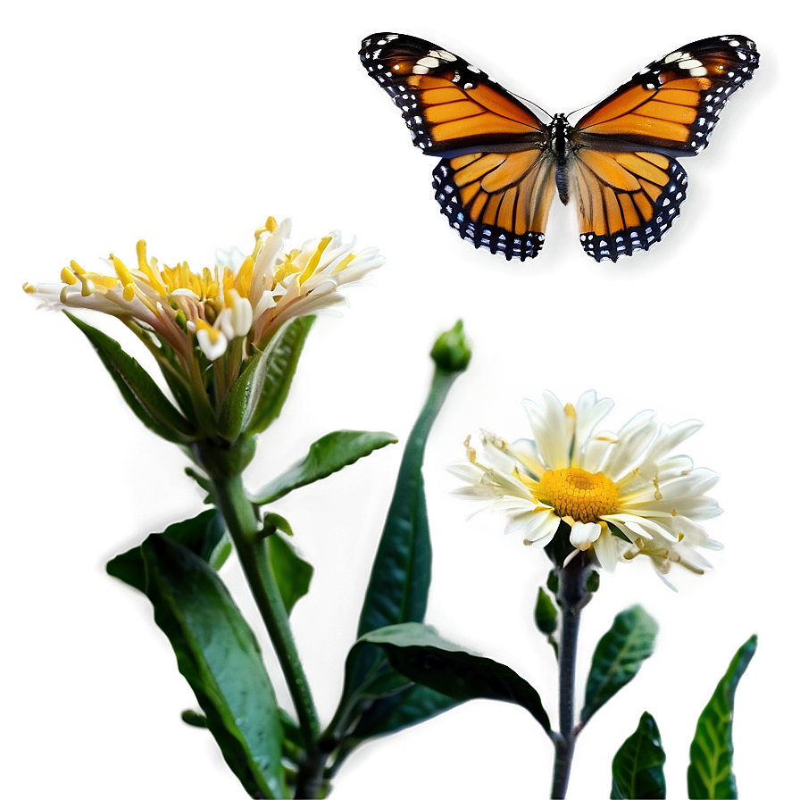 Butterfly On Flower Png 50 PNG Image