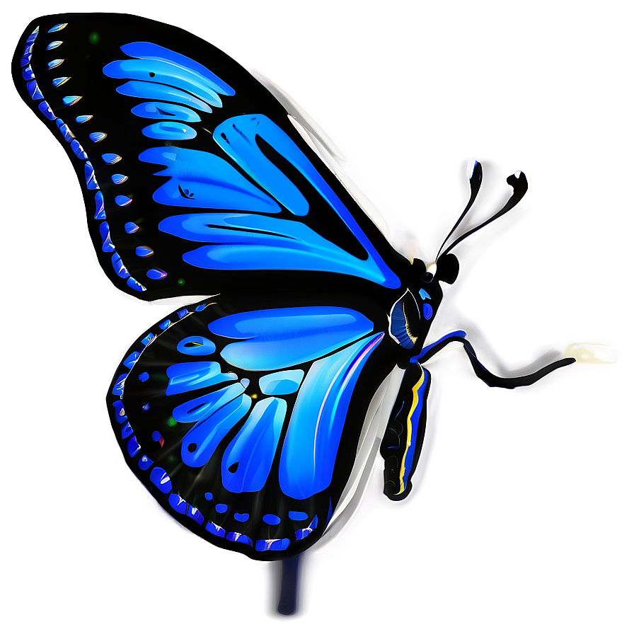 Butterfly Outline For Adults Png Qia42 PNG Image